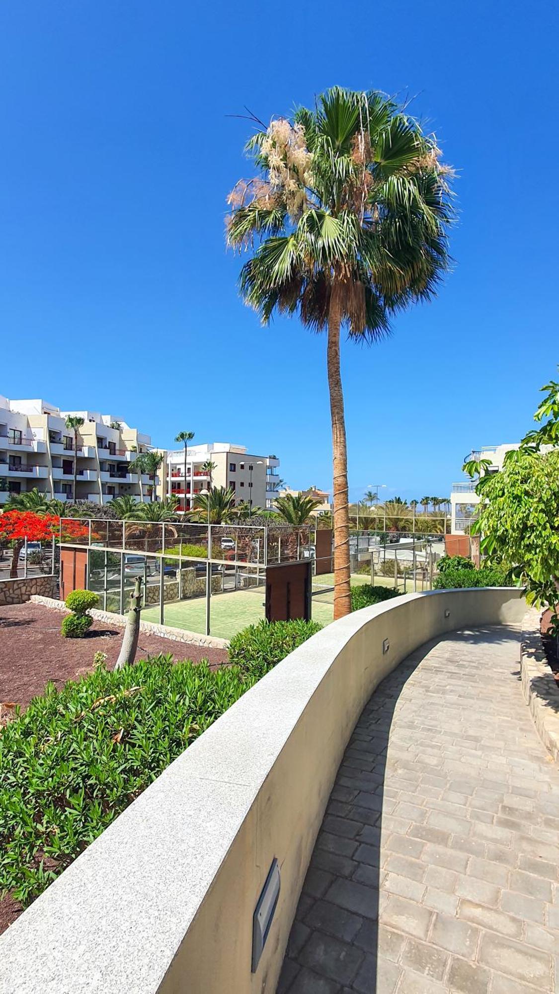 Apartamento Terraza Sea & Sun Palm-mar Exterior foto